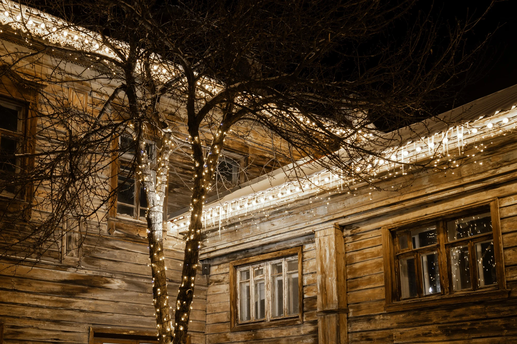 Iluminación festiva en un edificio y sus árboles